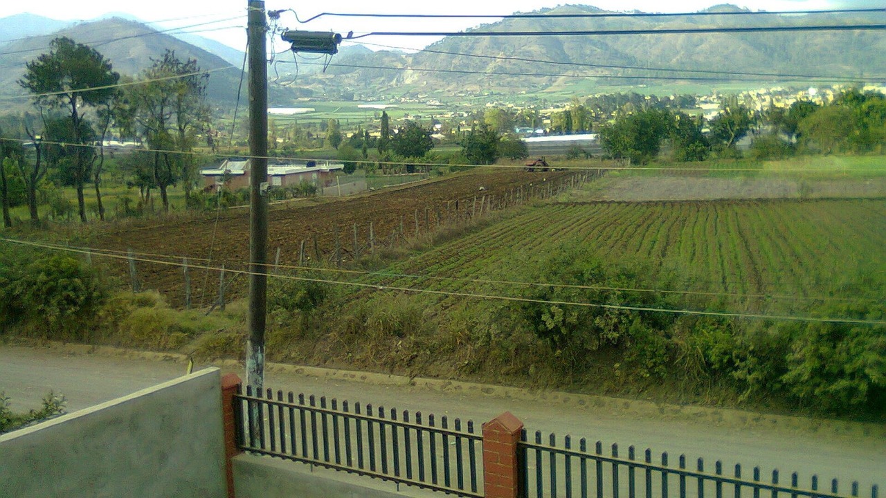 Photo of Others in Constanza