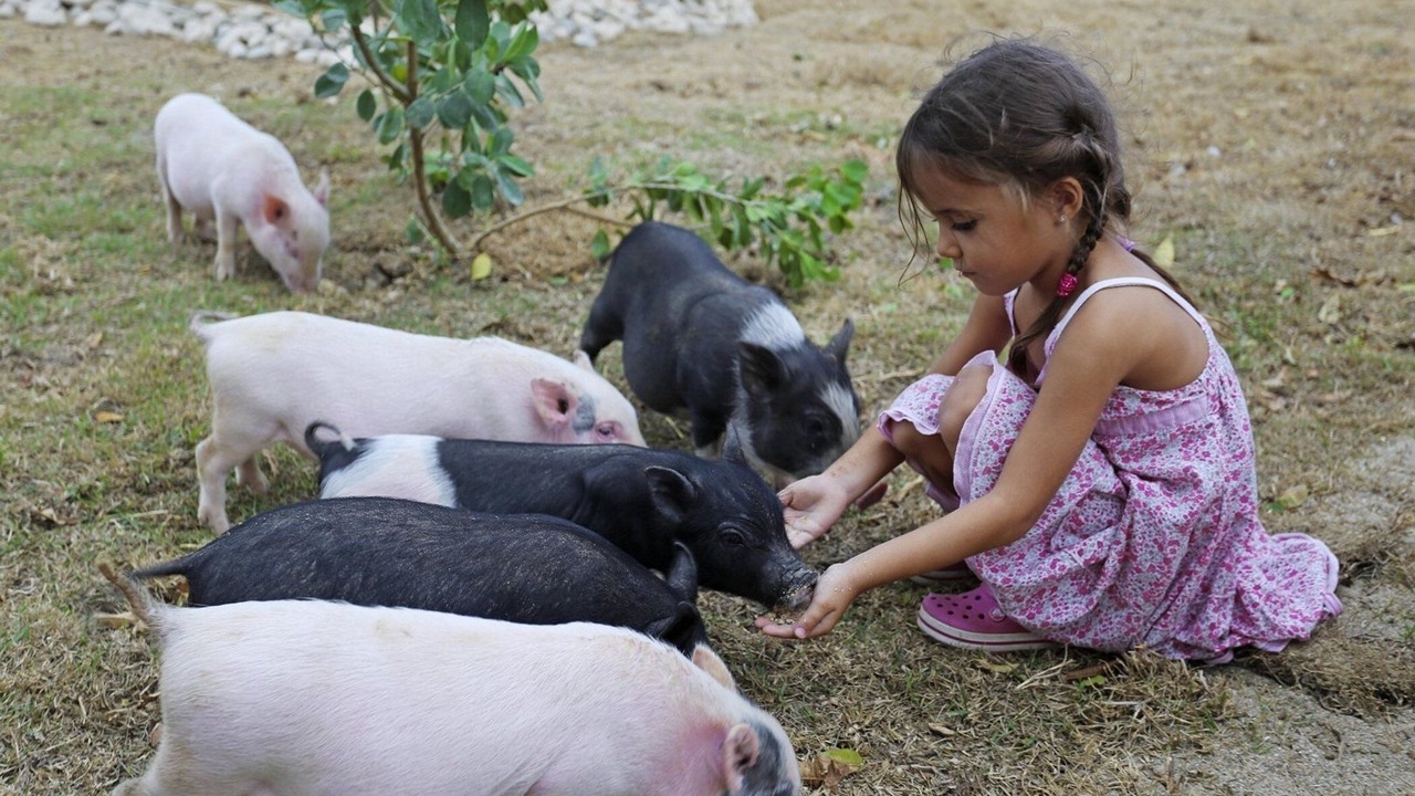 Photo of Others in Playa Chiquita