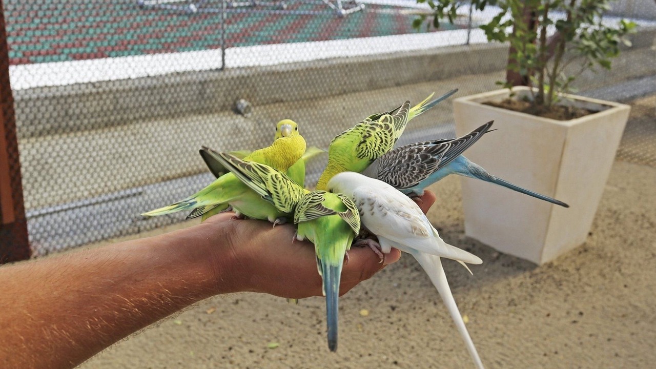 Photo of Outdoor in Playa Chiquita