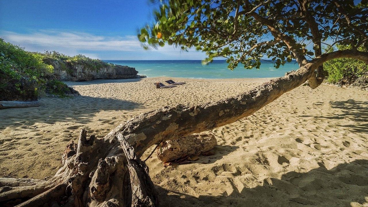 Photo of Others in Playa Chiquita