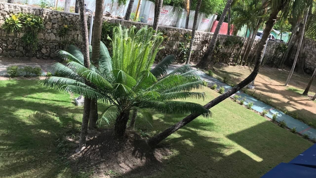 Photo of Others in Juan Dolio - El Pueblo