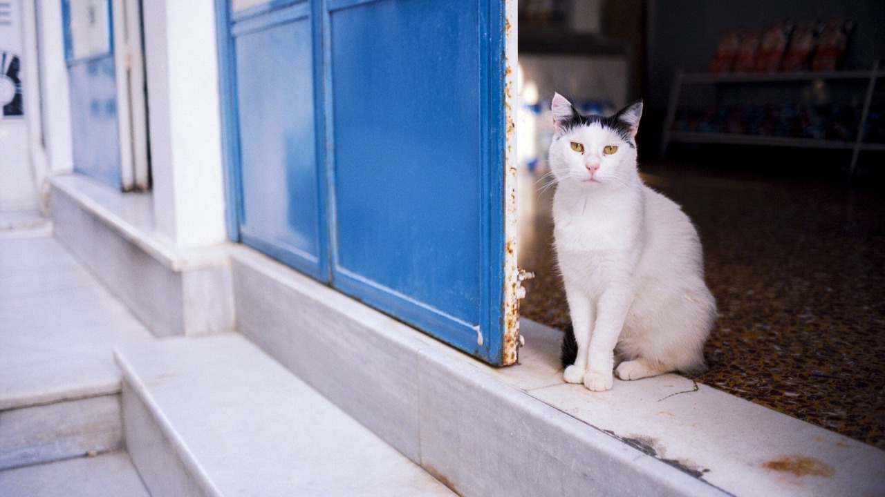 Photo of Others in Parasporos