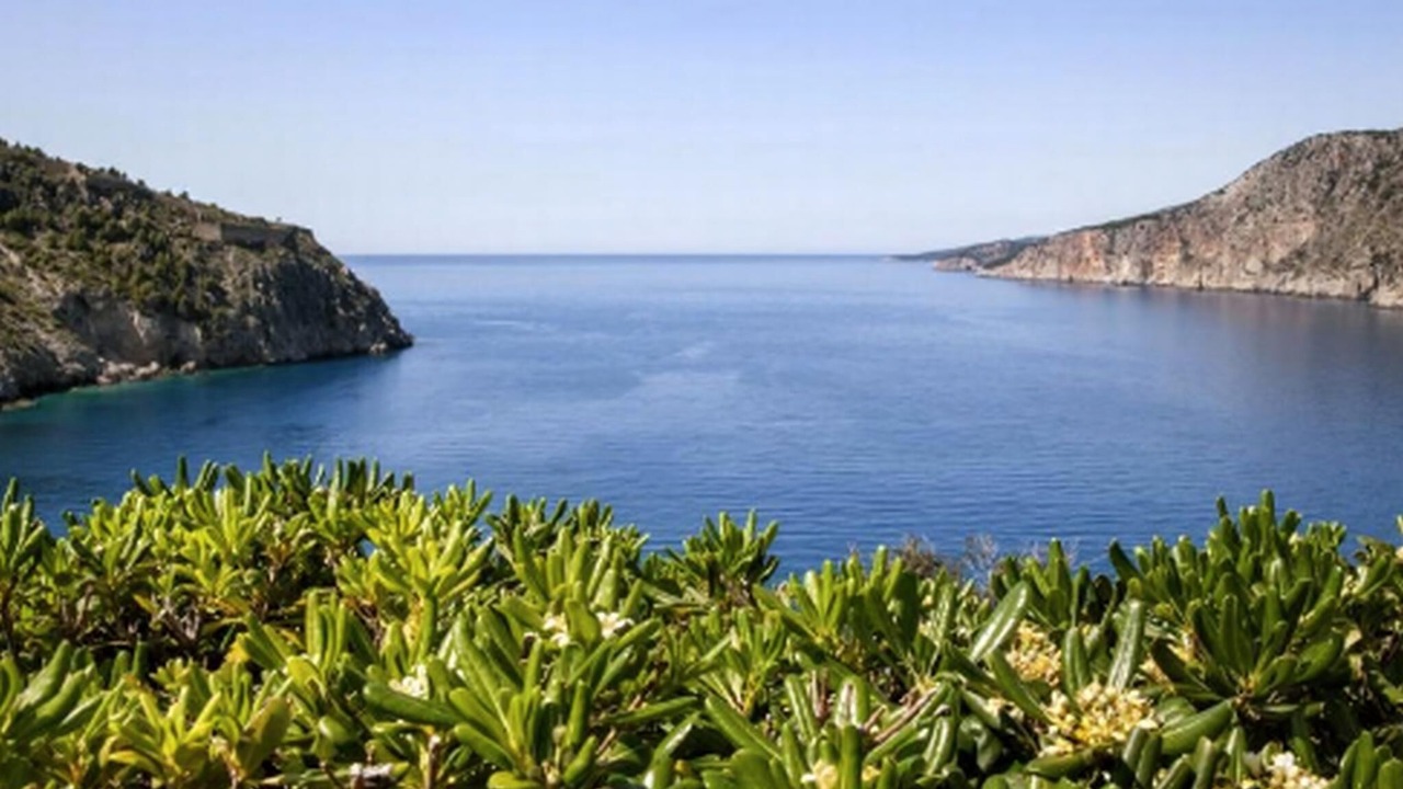 Photo of Others in Assos