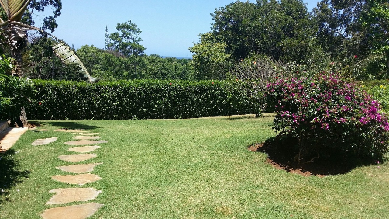 Photo of Outdoor in Urbanizacion Tavarez