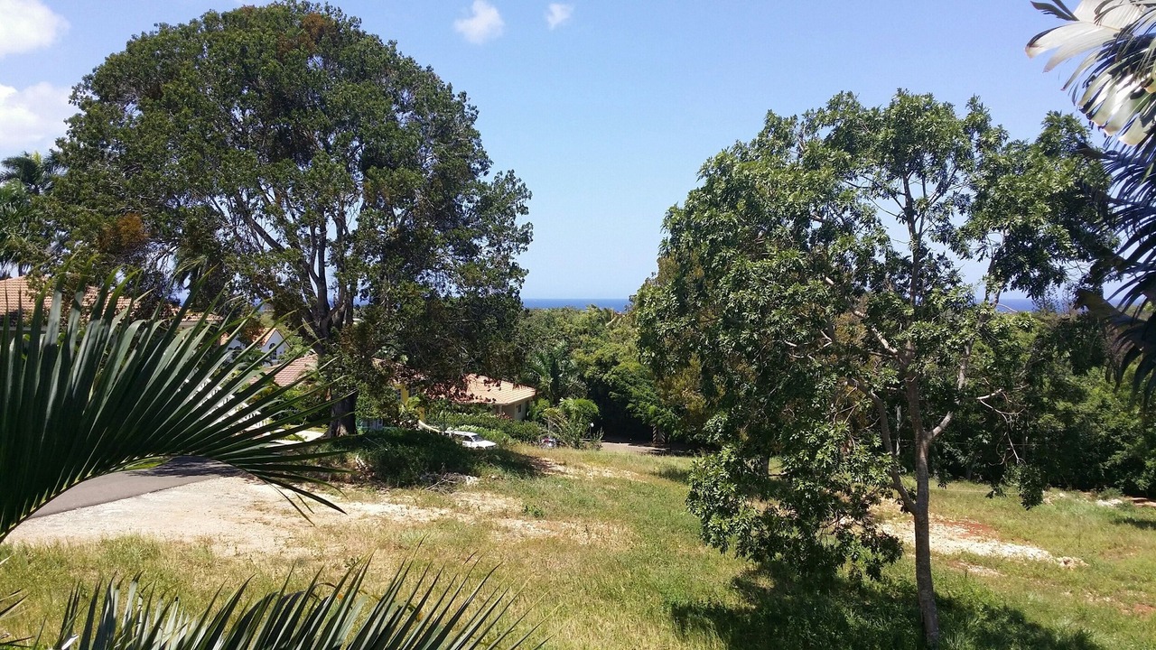 Photo of Outdoor in Urbanizacion Tavarez