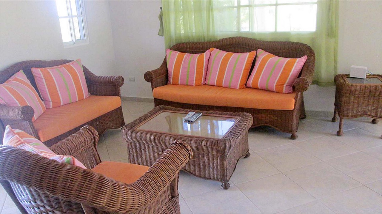 Photo of Livingroom in Urbanizacion Tavarez