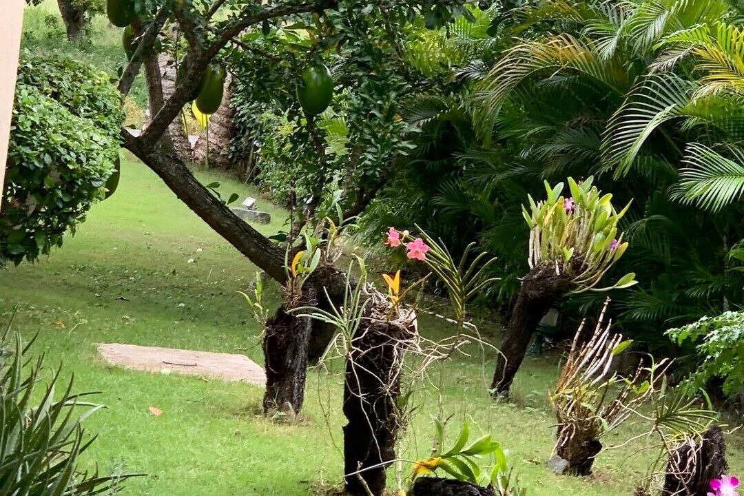 Photo of Outdoor in Juan Dolio