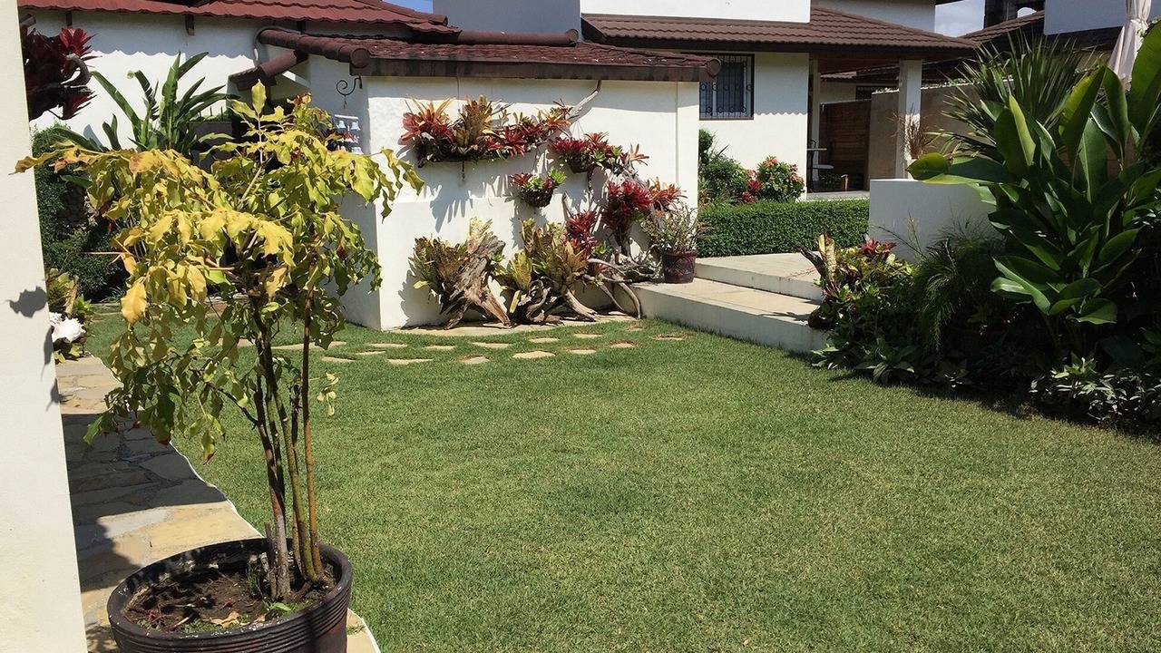 Photo of Outdoor in Playa Chiquita