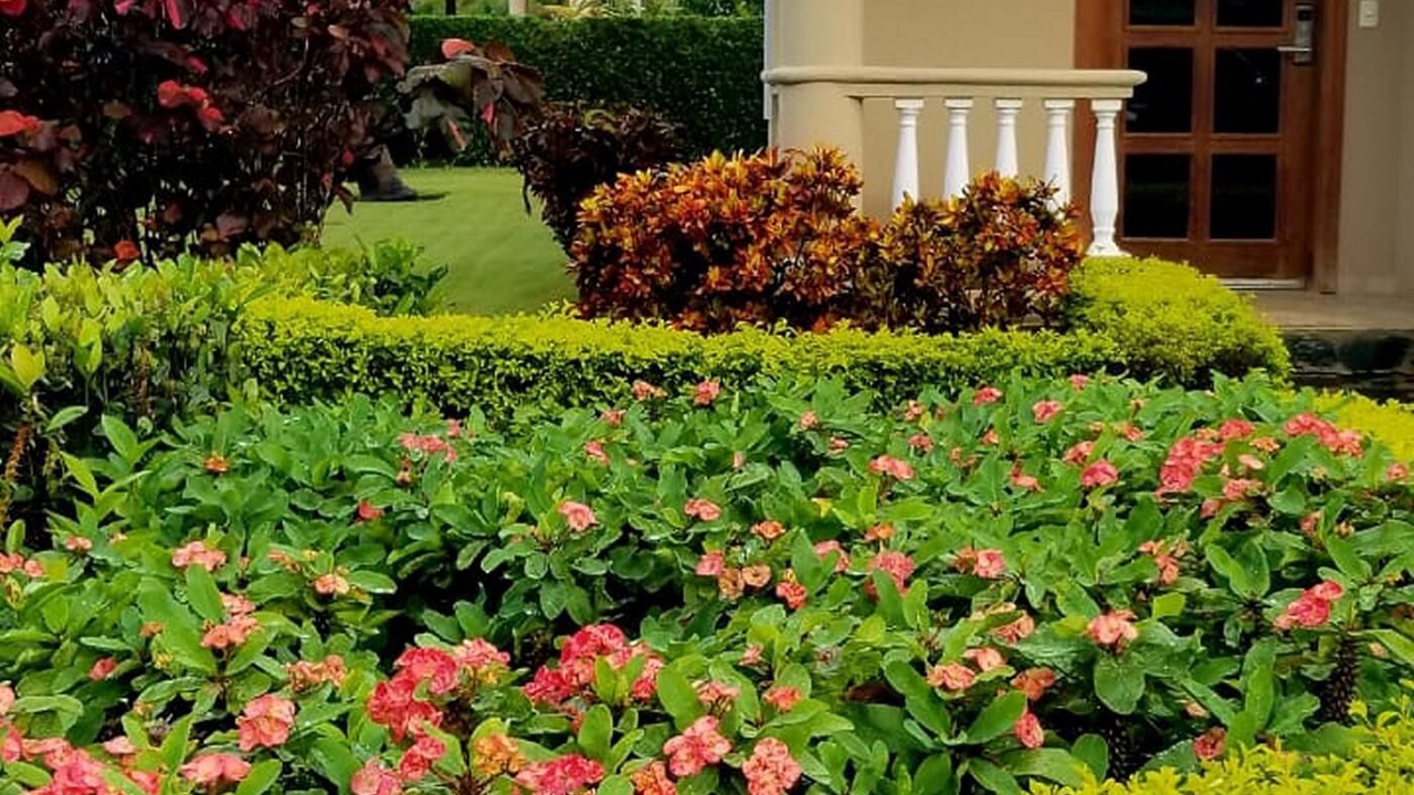 Photo of Outdoor in Urbanizacion Tavarez