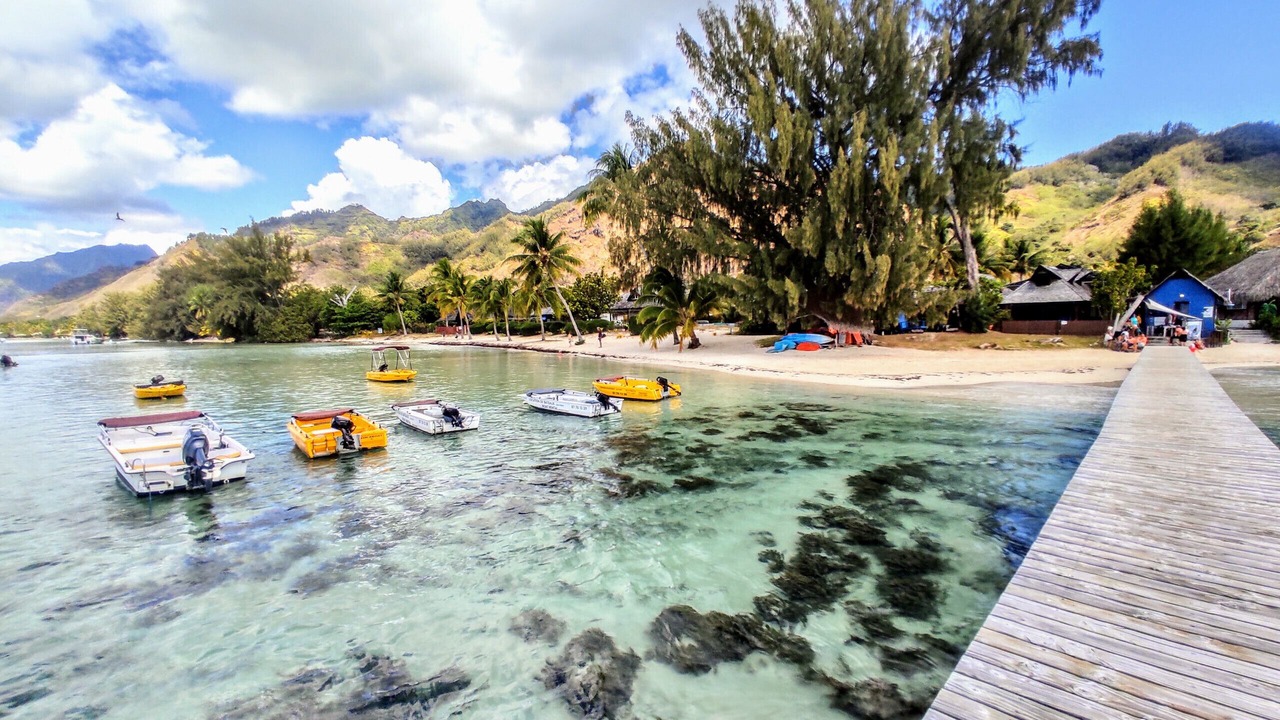 Photo of Others in Moorea-Maiao