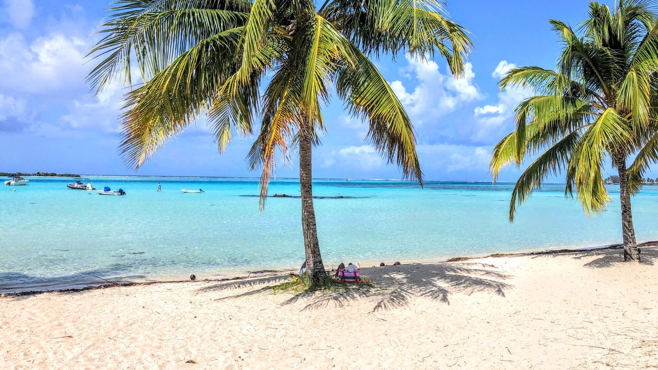 Photo of Others in Moorea-Maiao