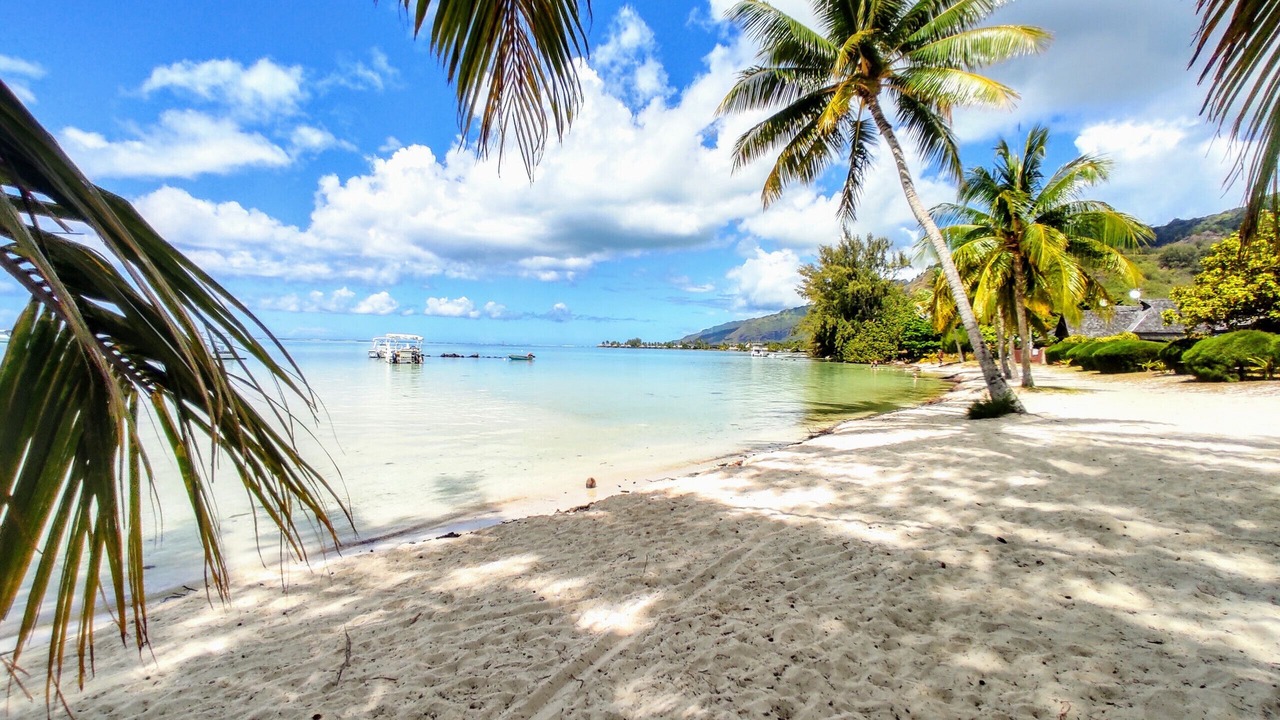 Photo of Outdoor in Moorea-Maiao