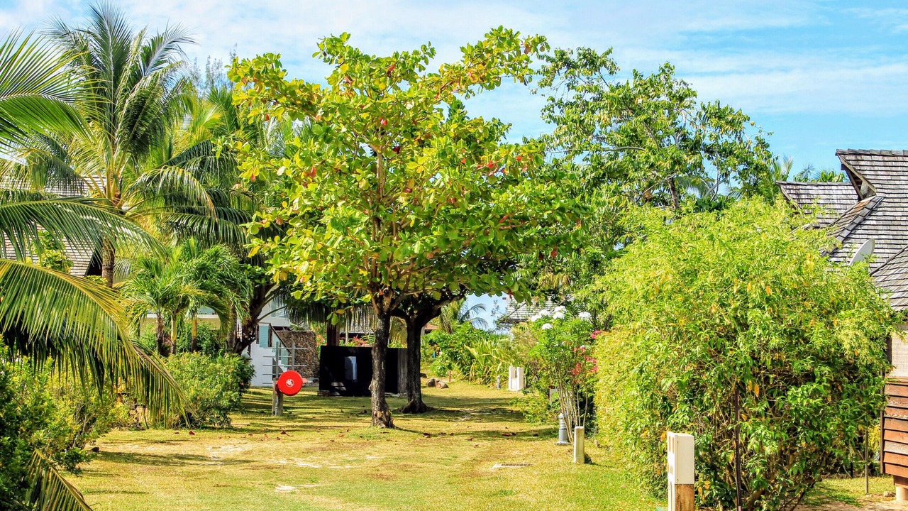 Photo of Outdoor in Moorea-Maiao