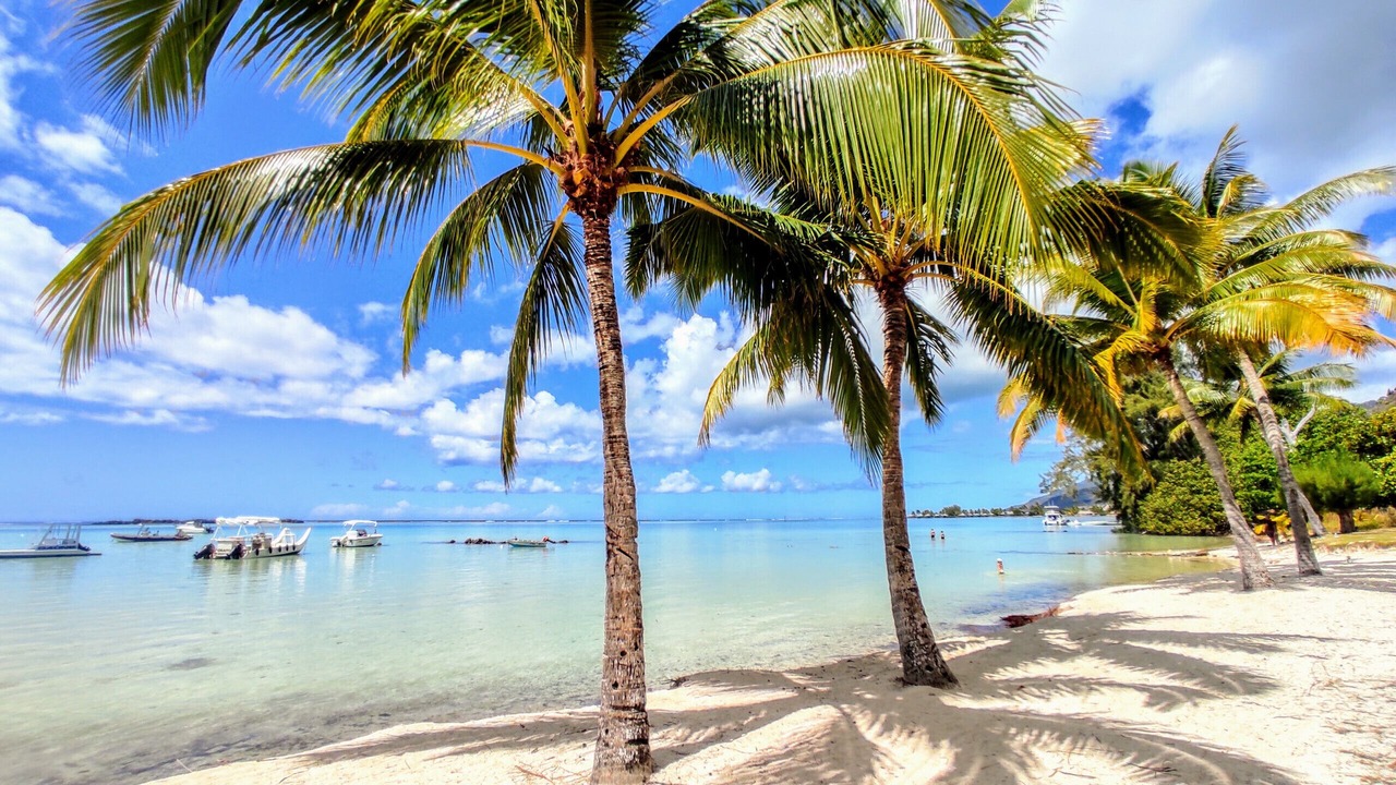 Photo of Others in Moorea-Maiao