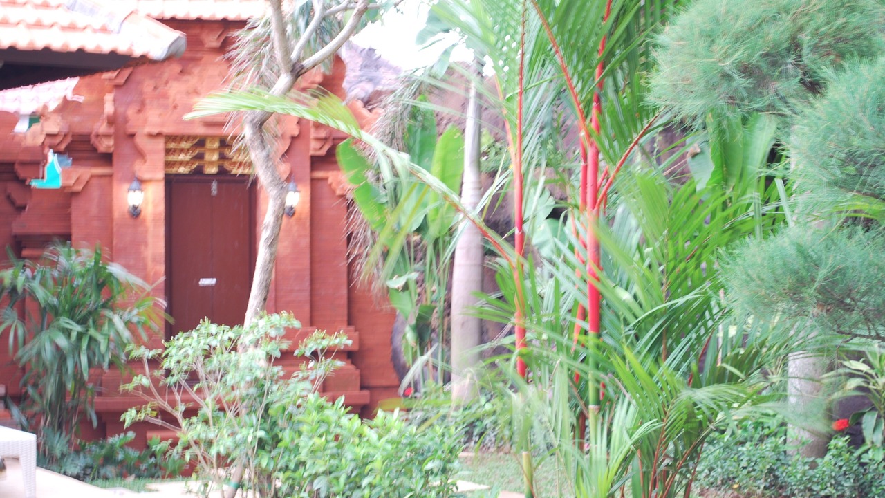 Photo of Outdoor in Sanur