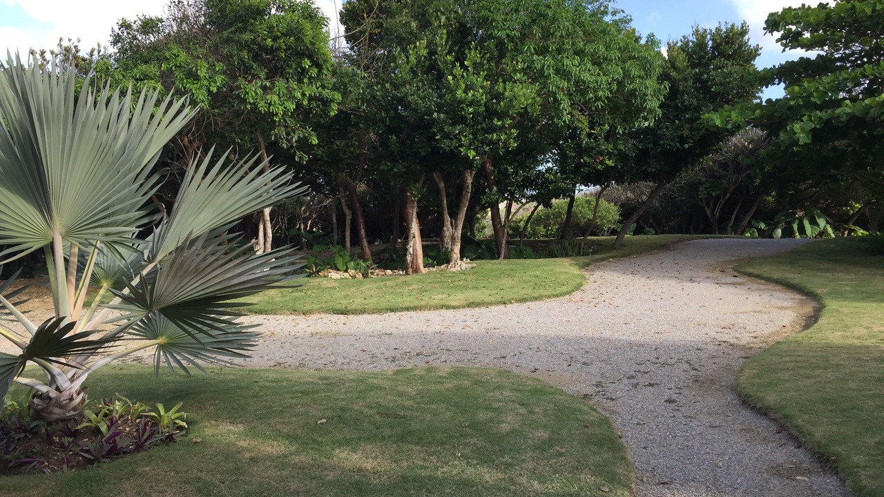 Photo of Outdoor in North Coast