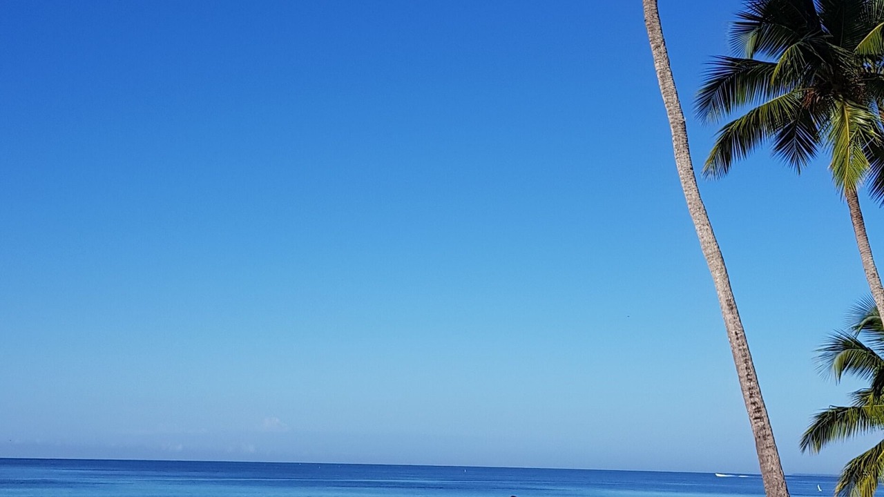 Photo of Others in Dominicus