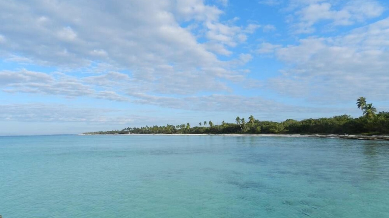 Photo of Others in Dominicus