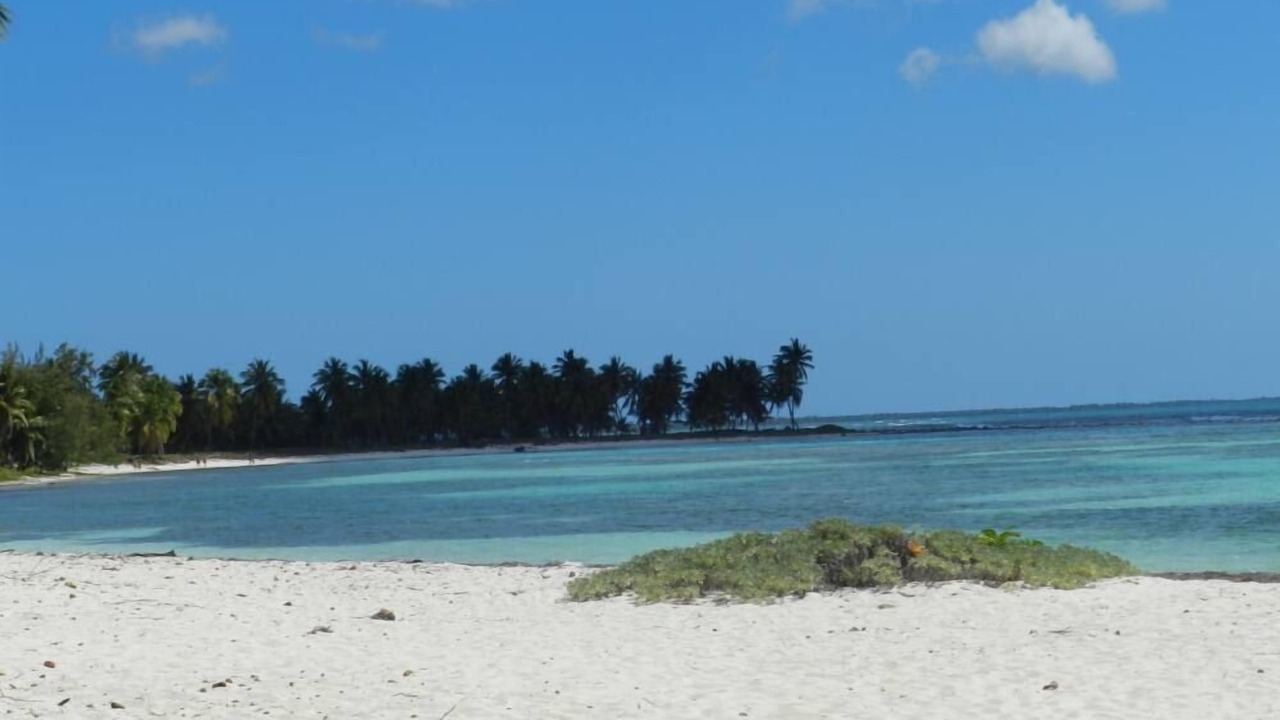 Photo of Others in Dominicus