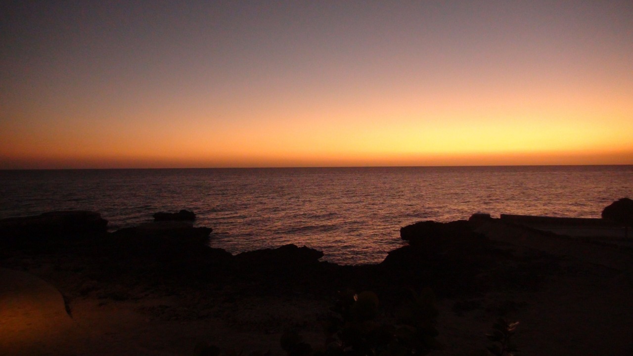 Photo of Others in Dominicus