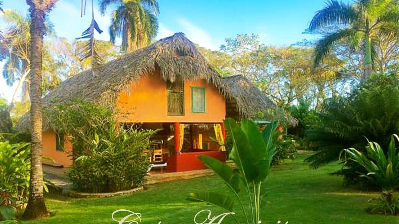 Photo of Others in Las Galeras