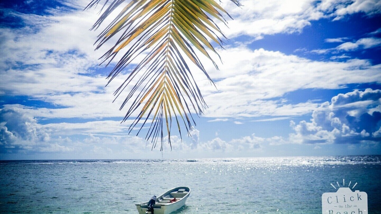 Photo of Others in Las Galeras