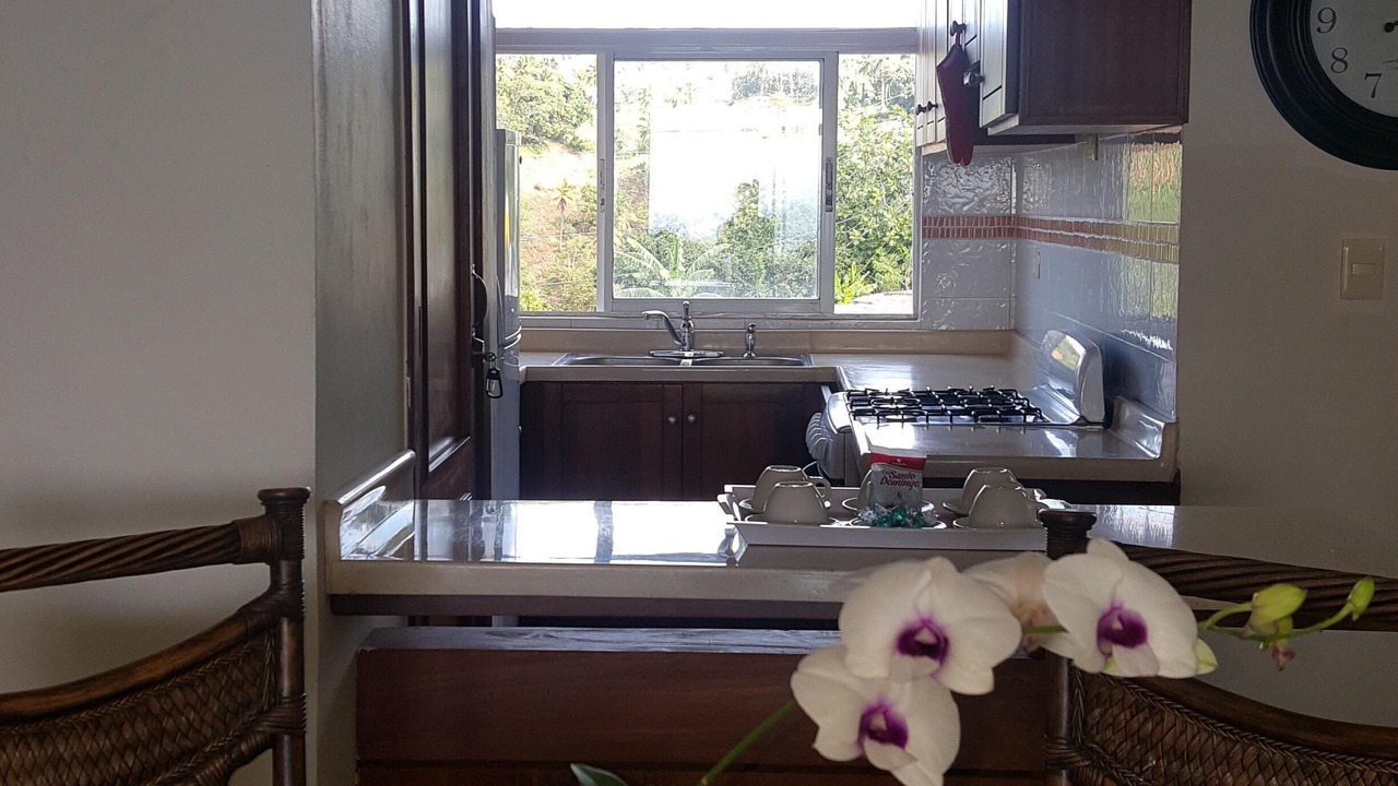 Photo of Kitchen in Barrio New York