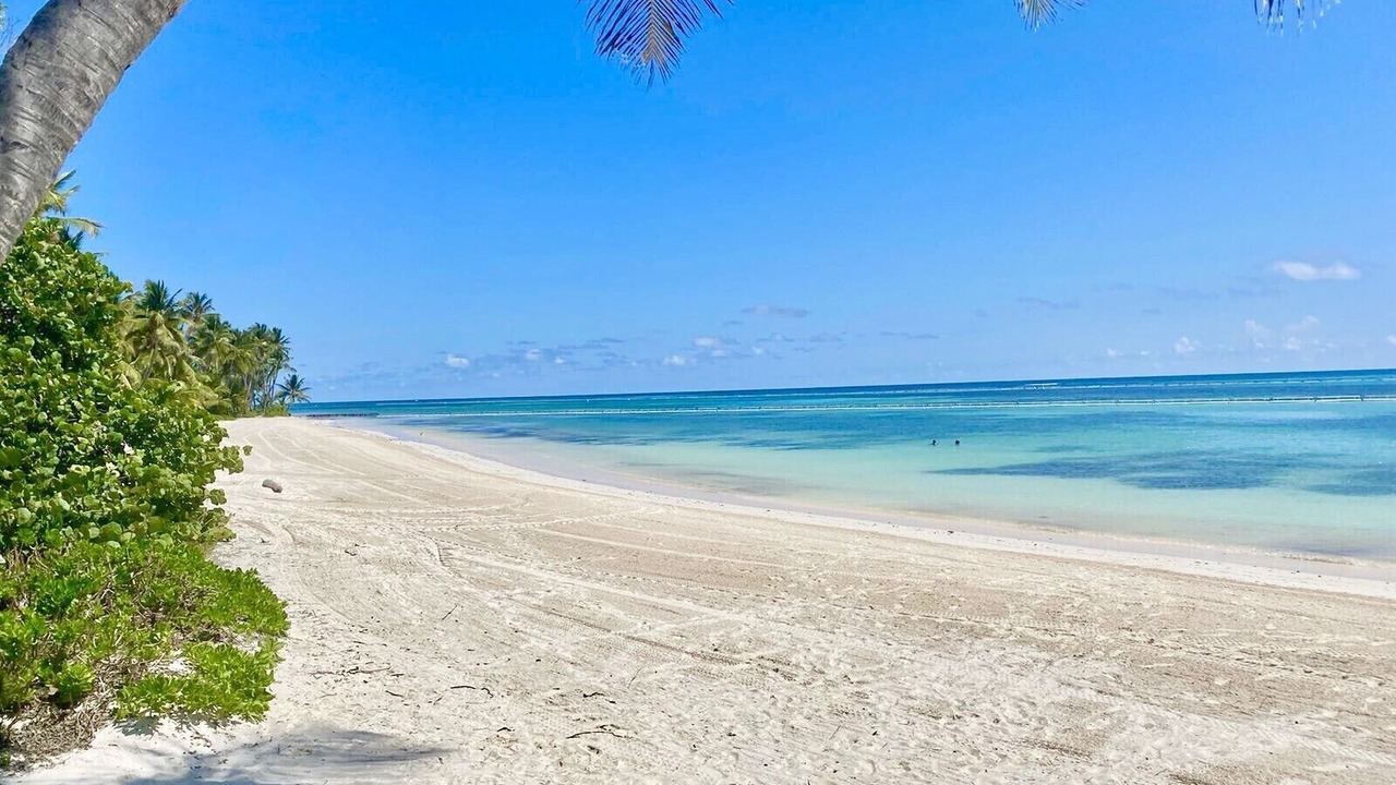 Photo of Others in Punta Cana