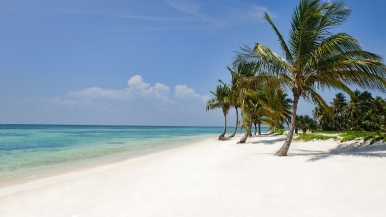 Photo of Others in Punta Cana