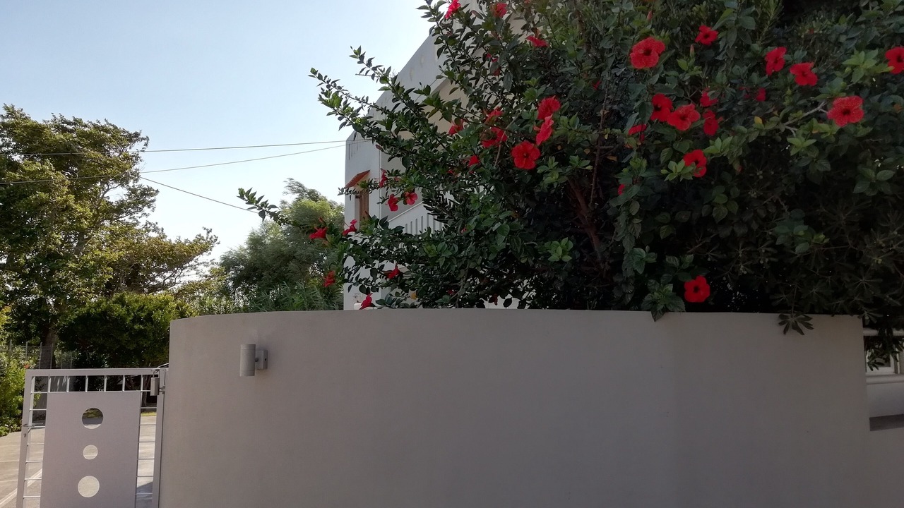 Photo of Outdoor in Plakias