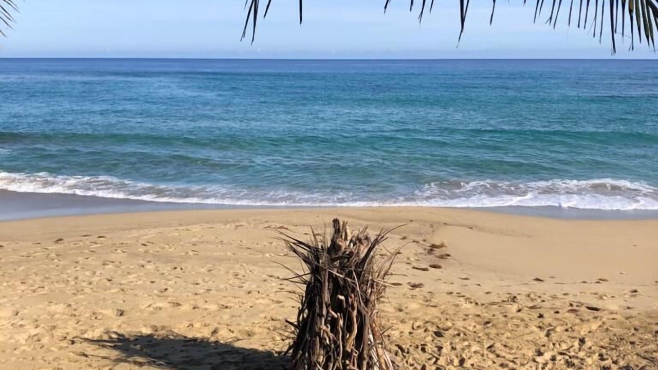Photo of Others in Cabarete