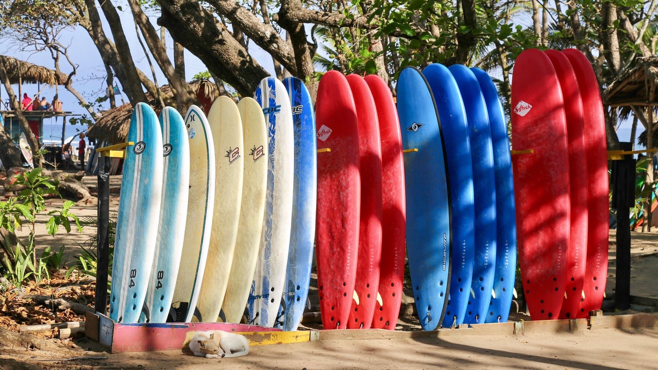 Photo of Others in Cabarete