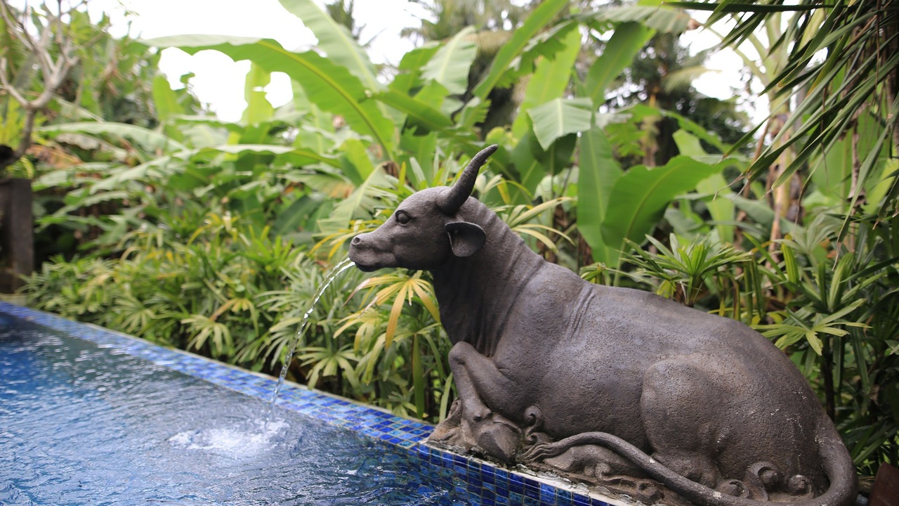 Photo of Patio Balcony in Pengosekan