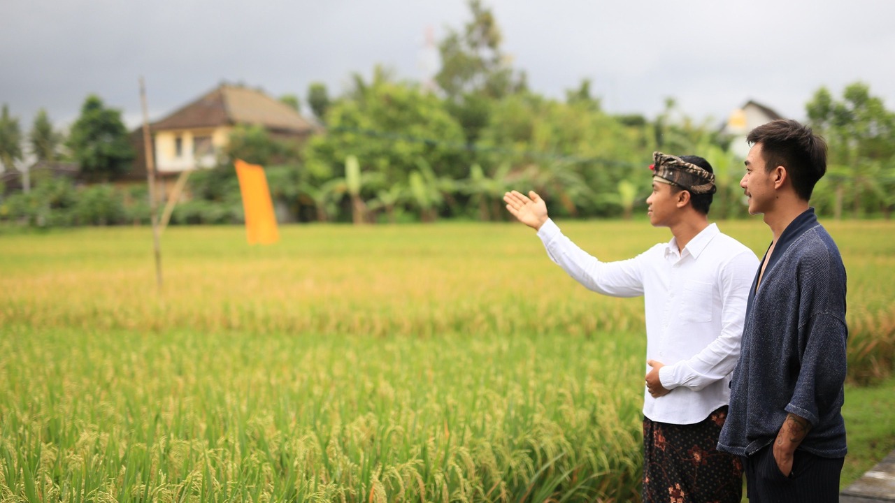 Photo of Outdoor in Pengosekan