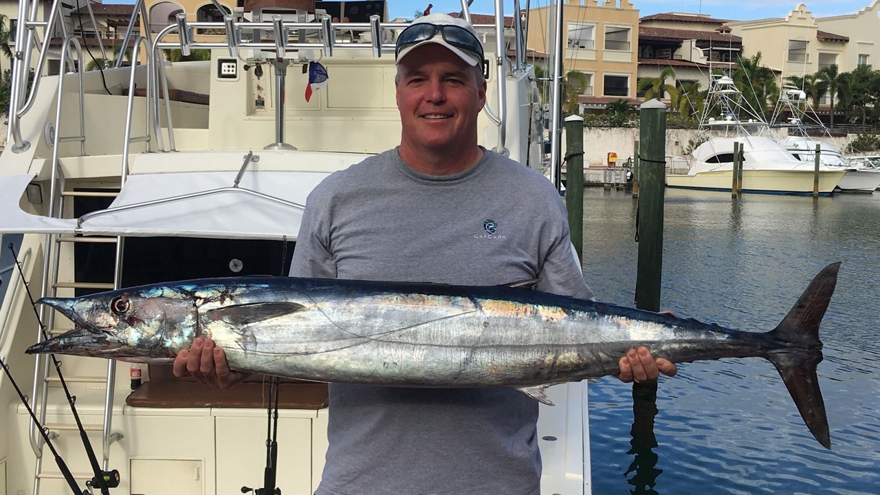 Photo of Others in Cap Cana Marina
