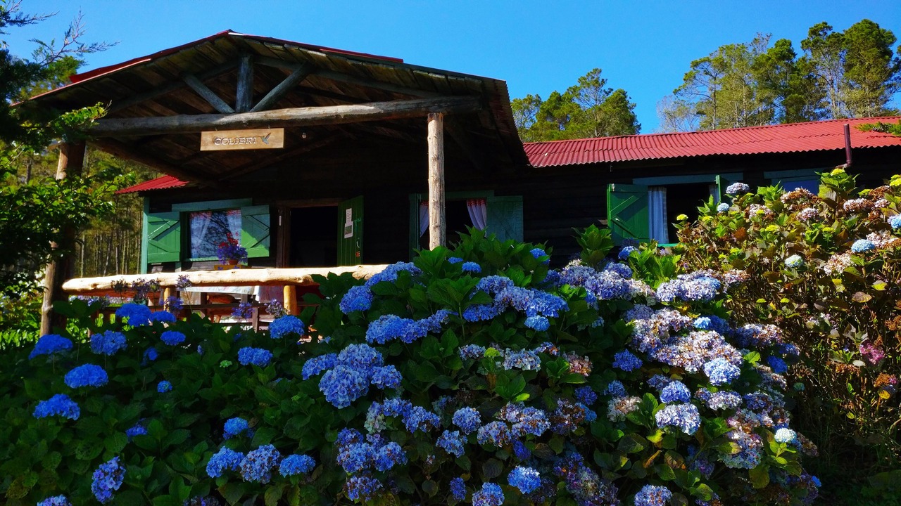 Photo of Bedroom in Constanza