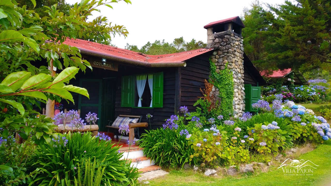 Photo of Patio Balcony in Constanza