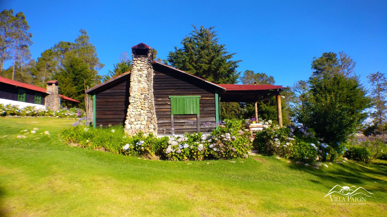 Photo of Outdoor in Constanza