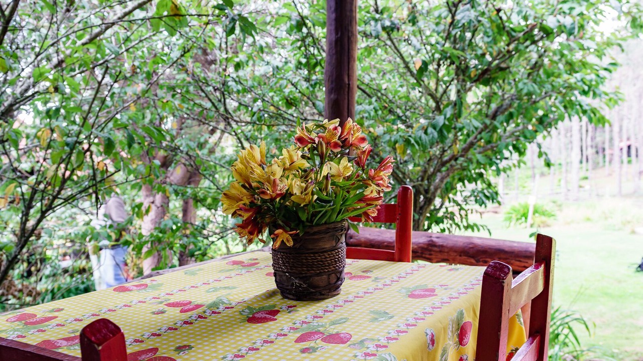 Photo of Patio Balcony in Constanza