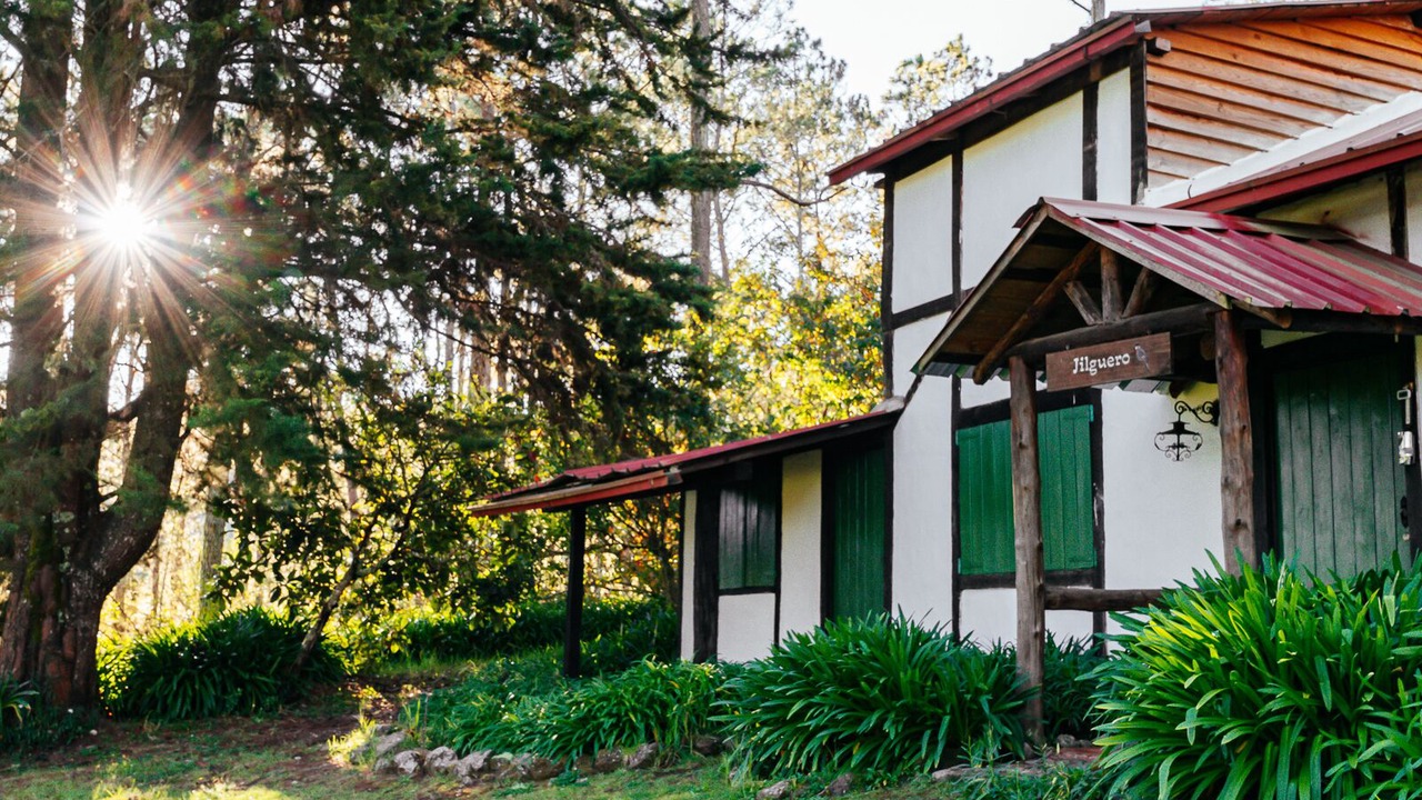 Photo of Outdoor in Constanza
