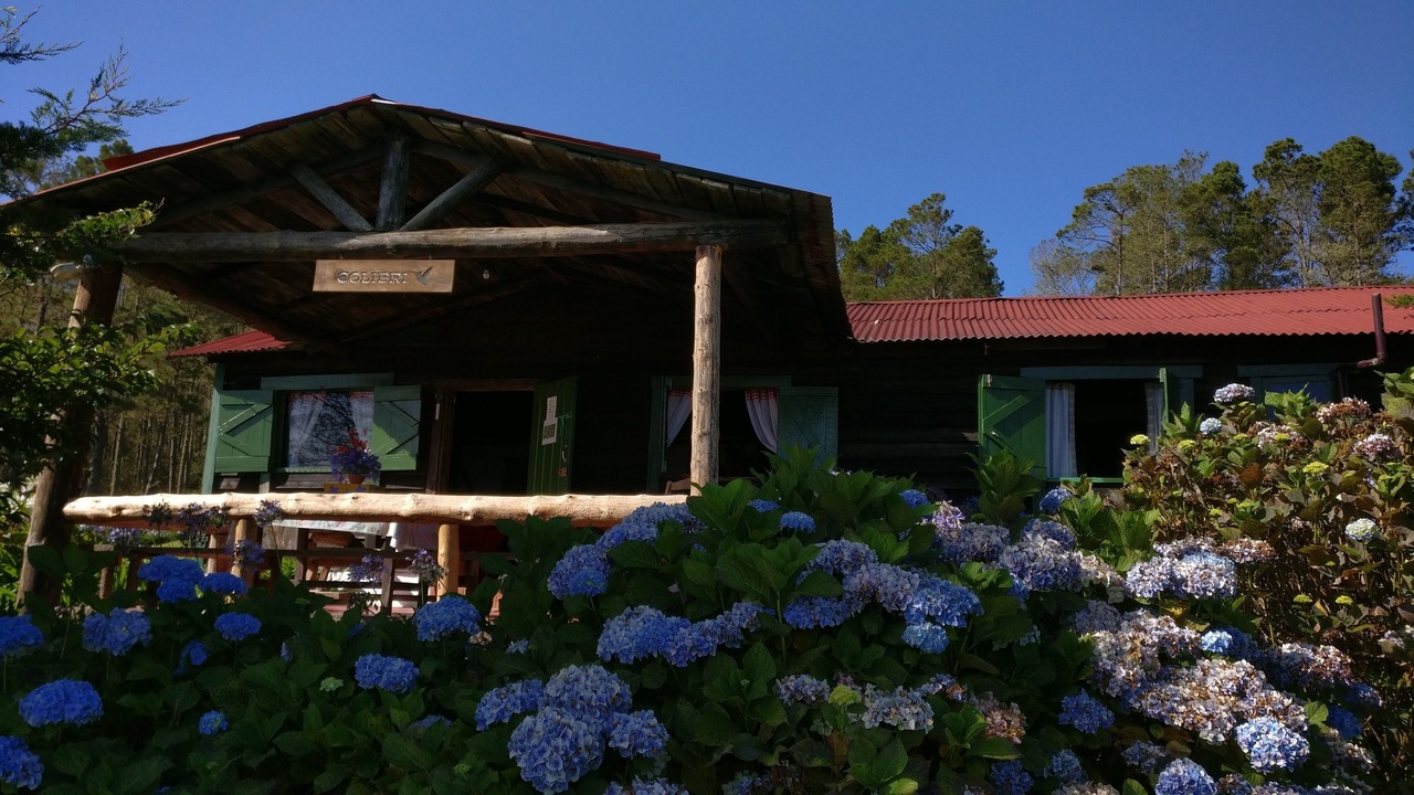 Photo of Outdoor in Constanza