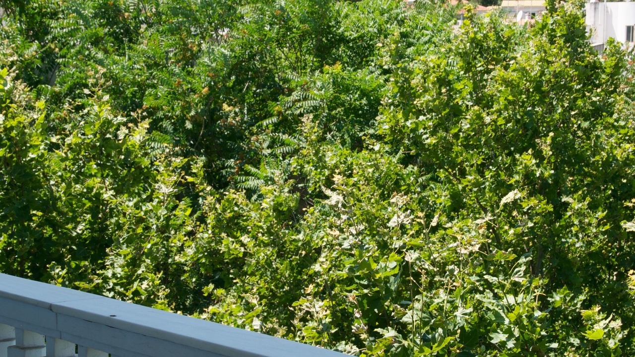 Photo of Patio Balcony in Kinosargous
