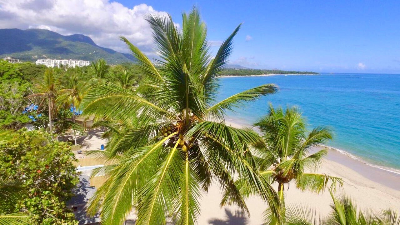 Photo of Others in Puerto Plata