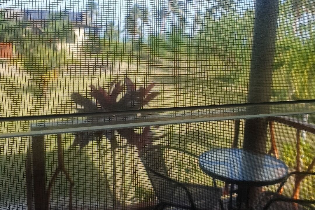 Photo of Outdoor in Naweni