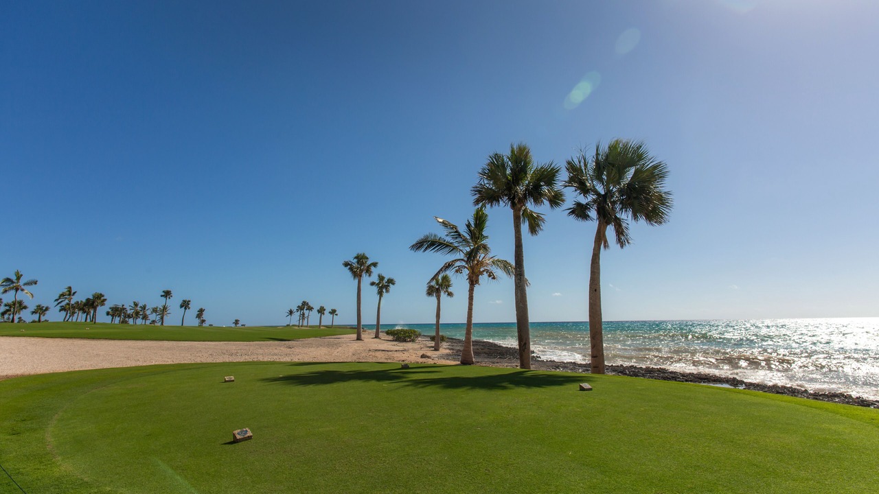 Photo of Others in Punta Cana