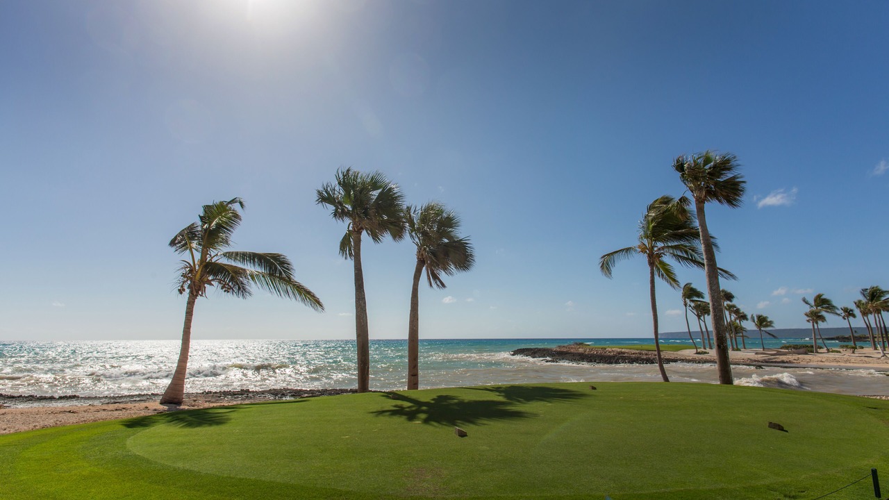 Photo of Others in Punta Cana