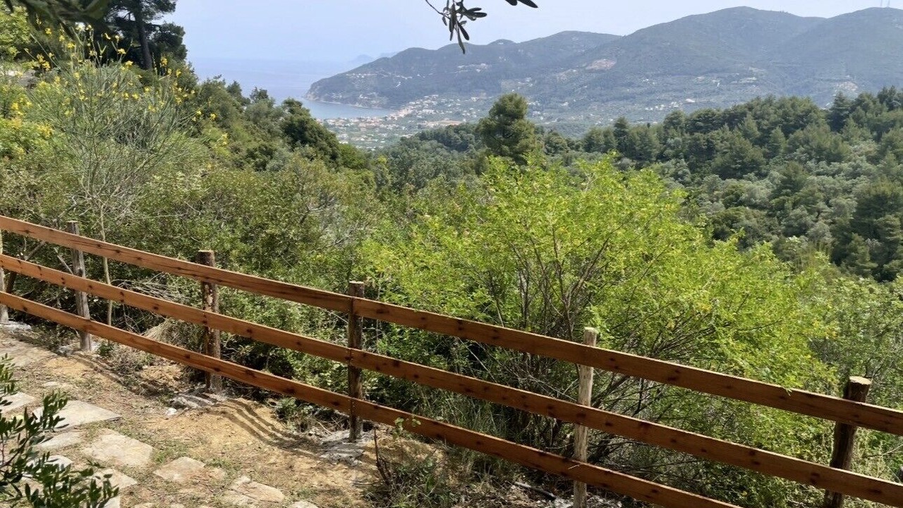 Photo of Others in Skopelos Town