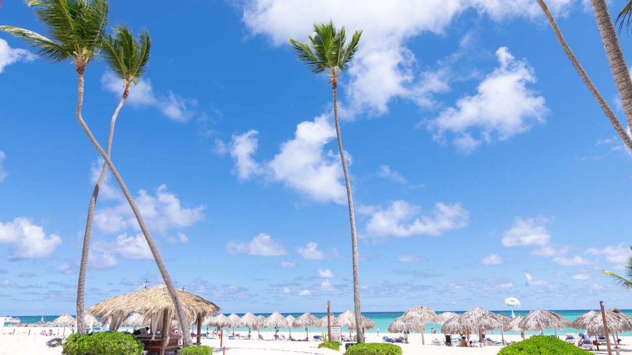 Photo of Others in Bavaro