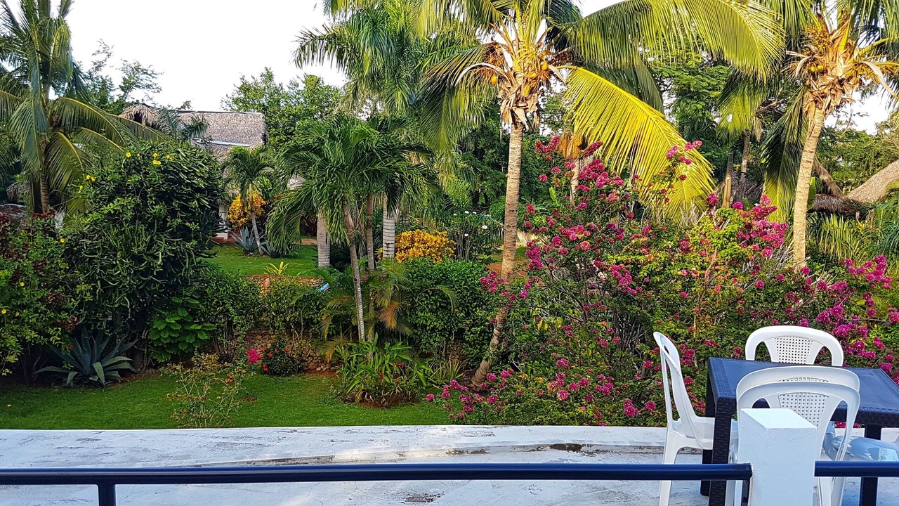 Photo of Outdoor in Las Galeras