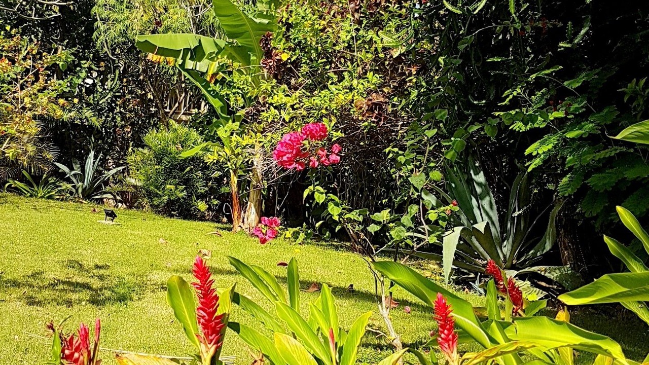 Photo of Outdoor in Las Galeras